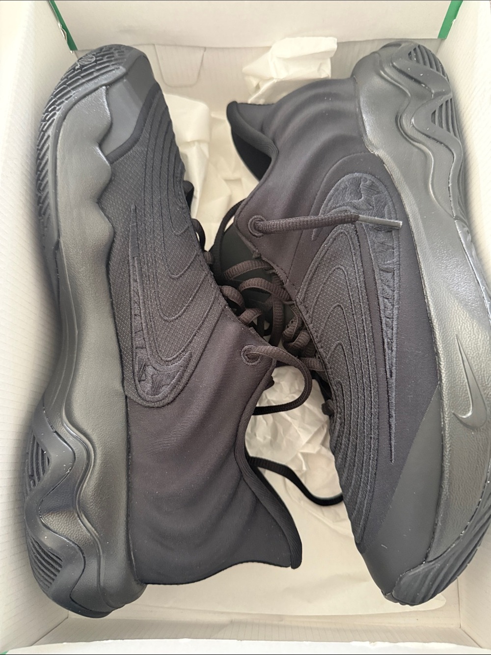 Nike Men's All-Black Giannis immortality 4
